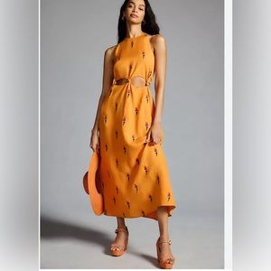 NWT Never Worn Farm Rio Parrot Halter Maxi Dress